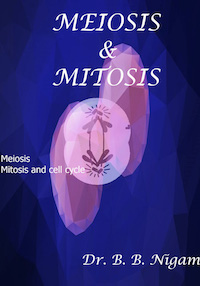 Biology - Meiosis & Mitosis